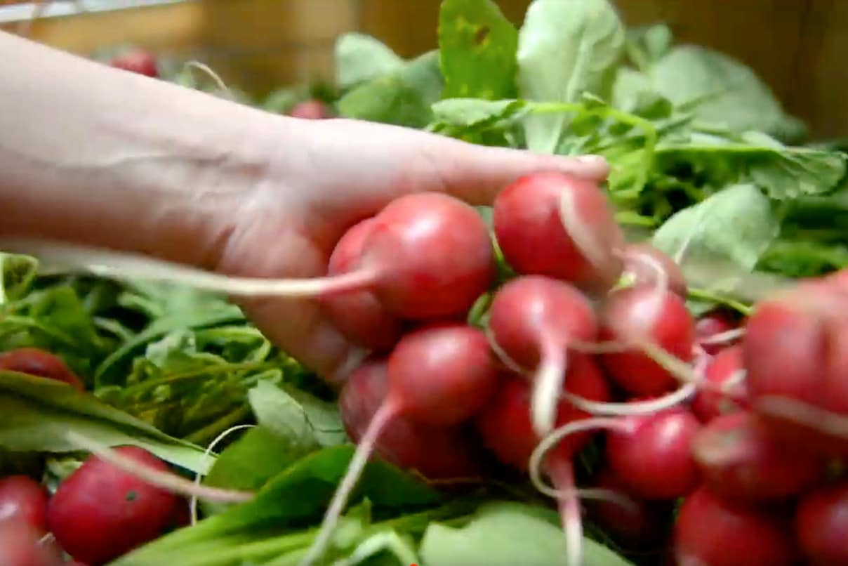 OSFM Vendors Support Mustard Seed Charity Dinner