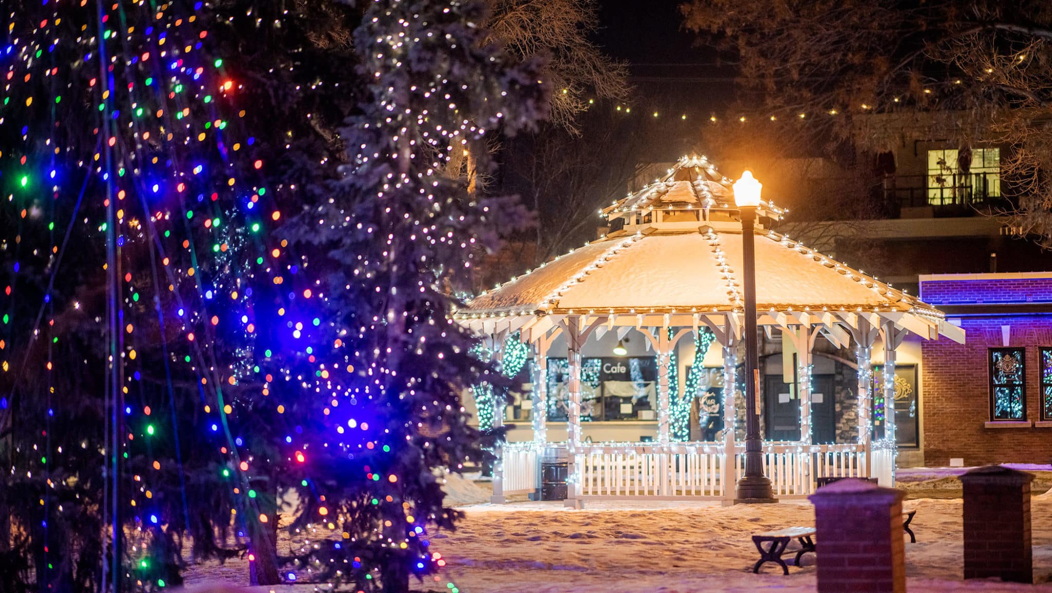 Winter Whyte Light Up 2024